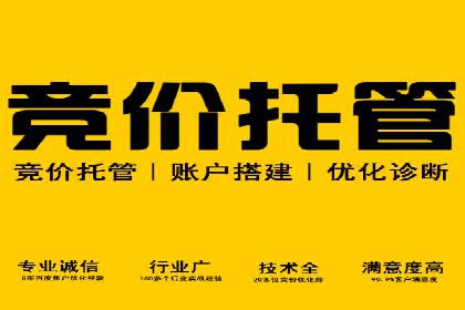 SEM服务公司助力电商增长案例